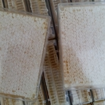 荆条巢蜜500g