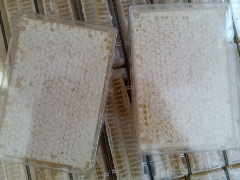 荆条巢蜜500g