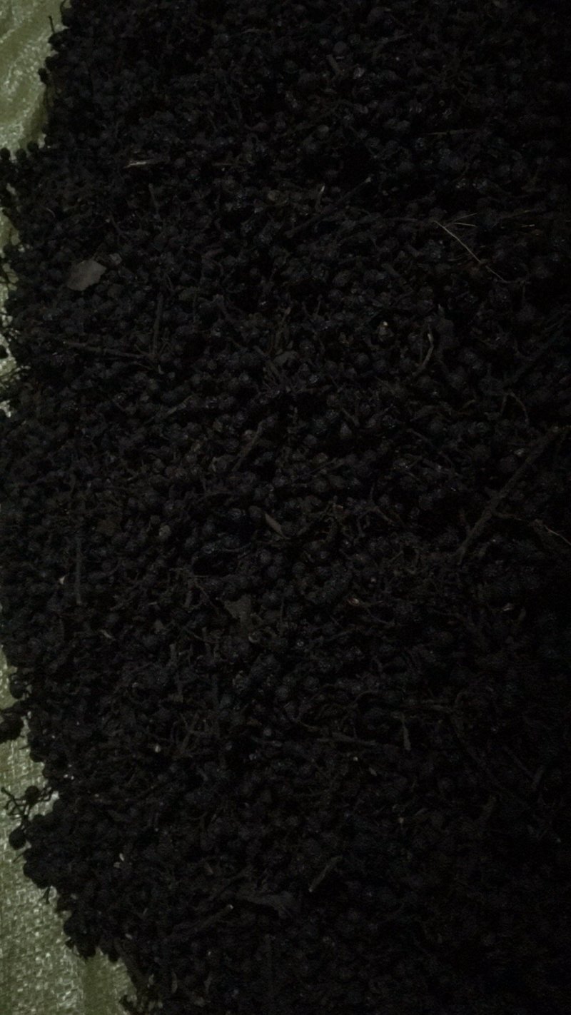 大量黑胡椒供应