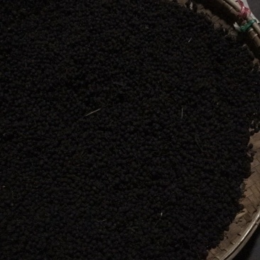 大量黑胡椒供应