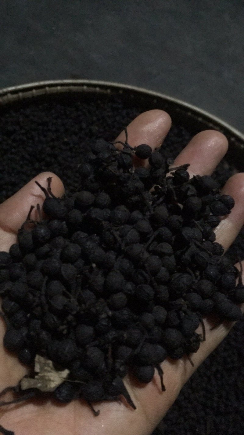 大量黑胡椒供应