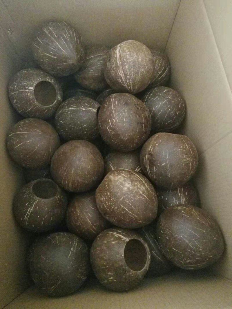 椰子壳