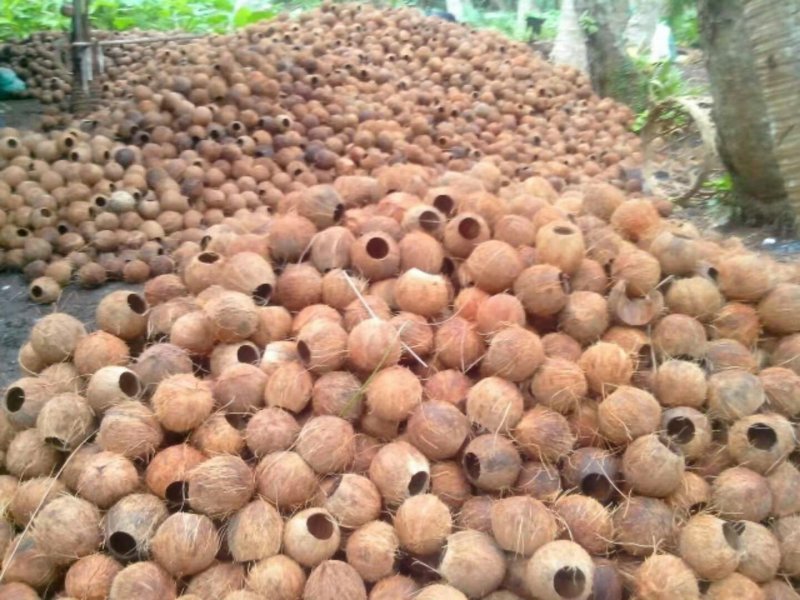 椰子壳