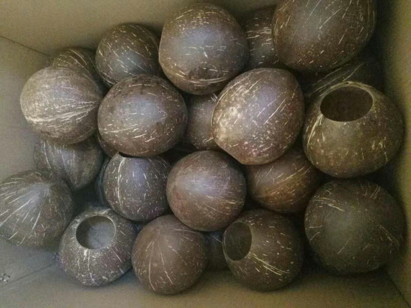 椰子壳