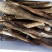 野生独脚大鸡枞