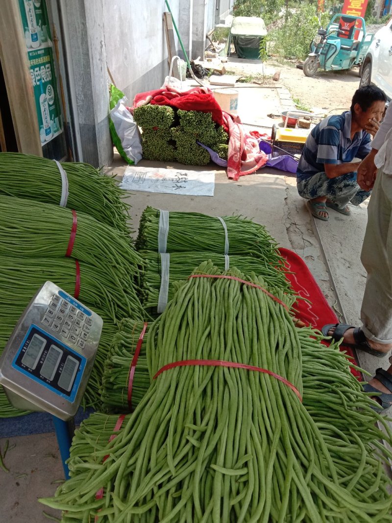 豆类