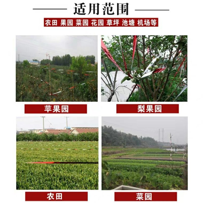 唐唐驱鸟带驱鸟彩带吓鸟赶鸟神器果园阳台家用农田反光警
