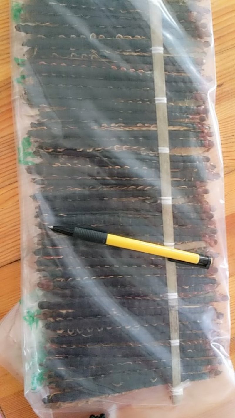 蜈蚣17公分产地湖北振兴药材购销站量大从优