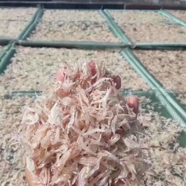 虾皮
