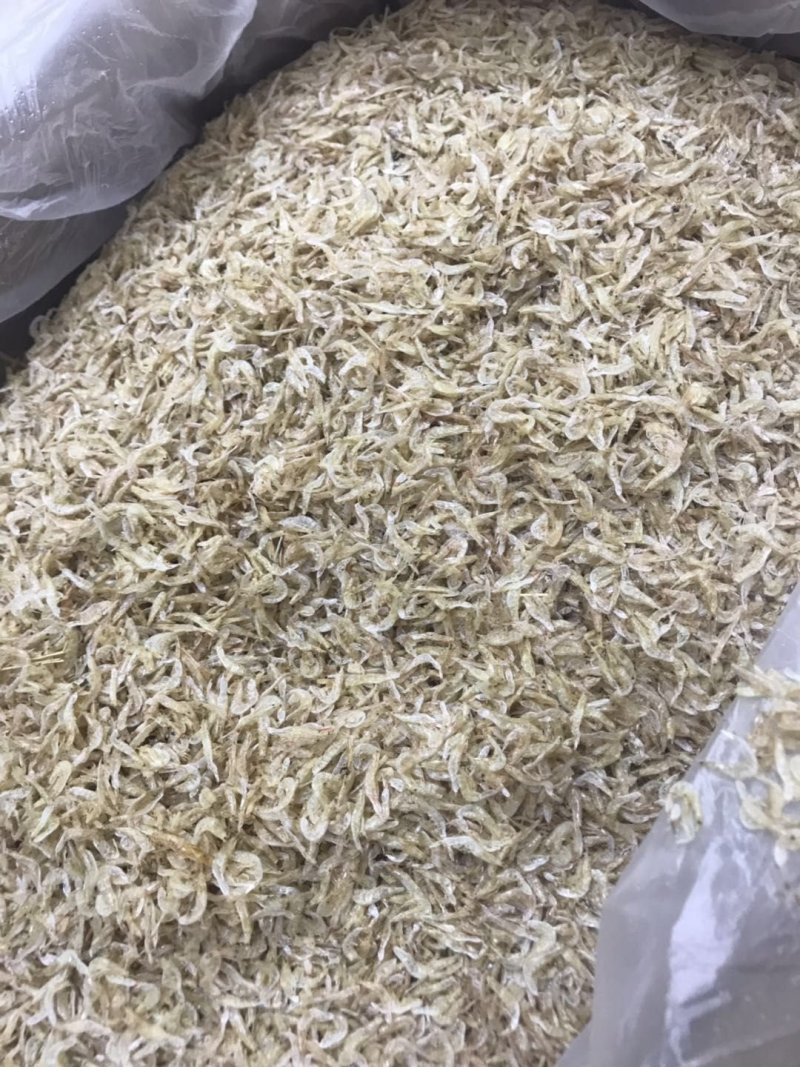 虾皮