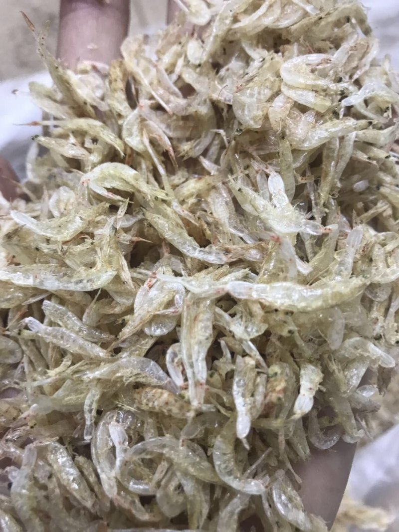虾皮