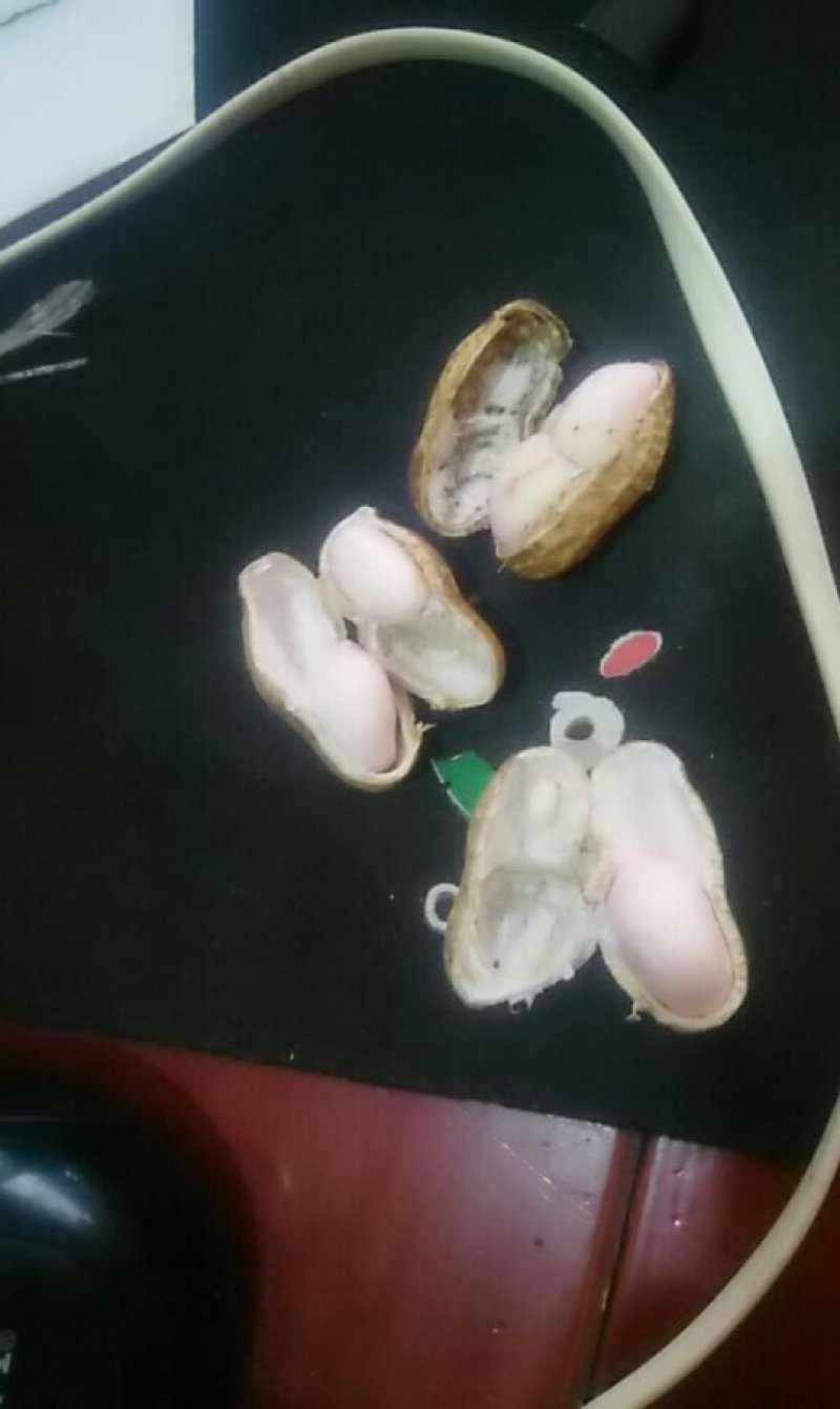 花生