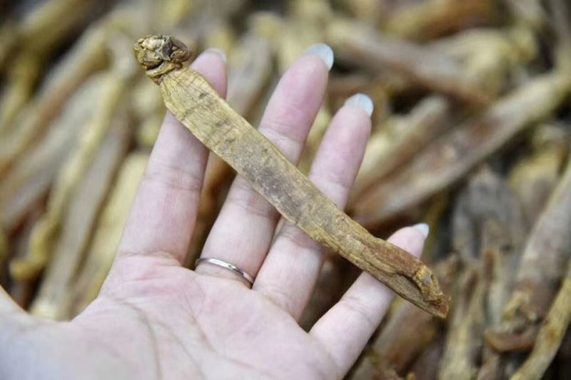 高丽参无糖10个起批包邮各种规格中药材批发零售