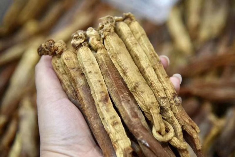 高丽参无糖10个起批包邮各种规格中药材批发零售