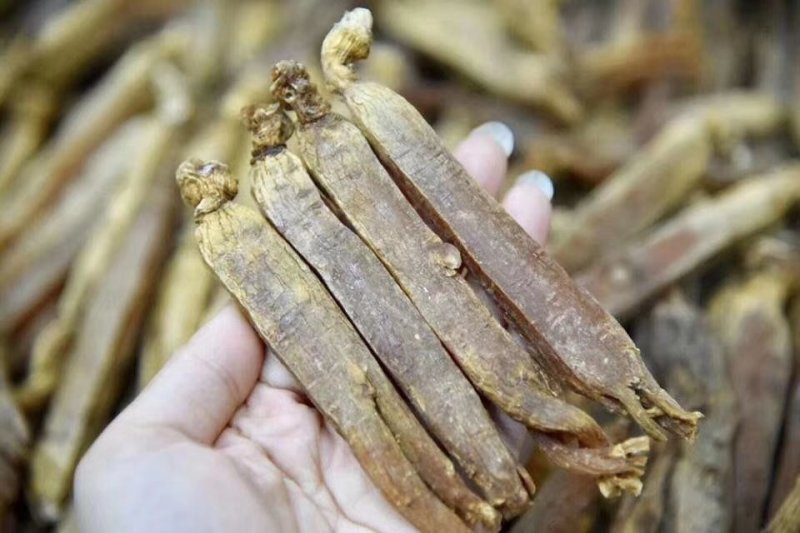 高丽参无糖10个起批包邮各种规格中药材批发零售