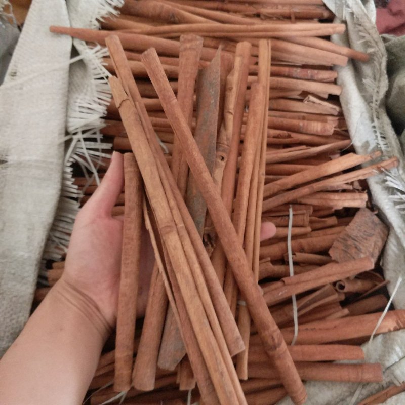 振兴药材批发供应去皮肉桂规格齐全产地直供一手货源全国发货