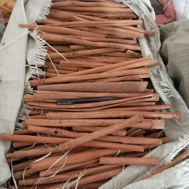 振兴药材批发供应去皮肉桂规格齐全产地直供一手货源全国发货