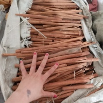 振兴药材批发供应去皮肉桂规格齐全产地直供一手货源全国发货