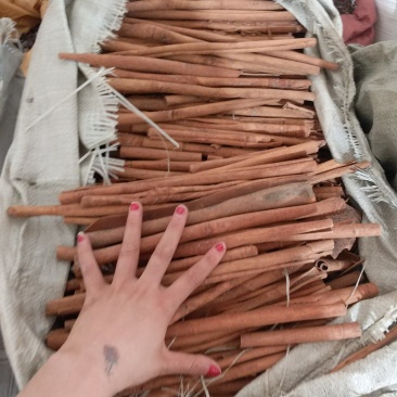 振兴药材批发供应去皮肉桂规格齐全产地直供一手货源全国发货