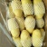 【好货】土豆山东荷兰十五土豆常年供应品质保证