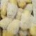 【好货】土豆山东荷兰十五土豆常年供应品质保证