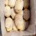 【好货】土豆山东荷兰十五土豆常年供应品质保证