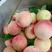 桃子树苗，太白脆甜桃，脱骨桃，果大味甜，六月分成熟，