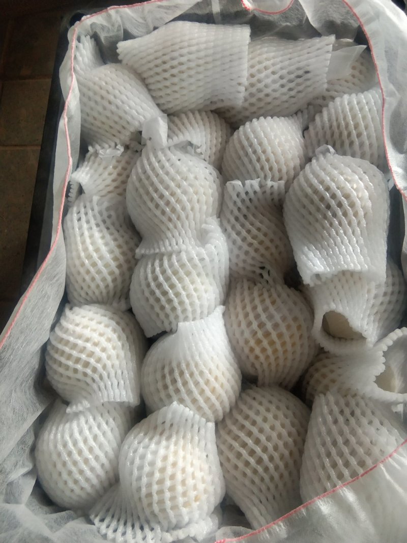 皇冠梨大量上市，需要的客户联系，大量有货