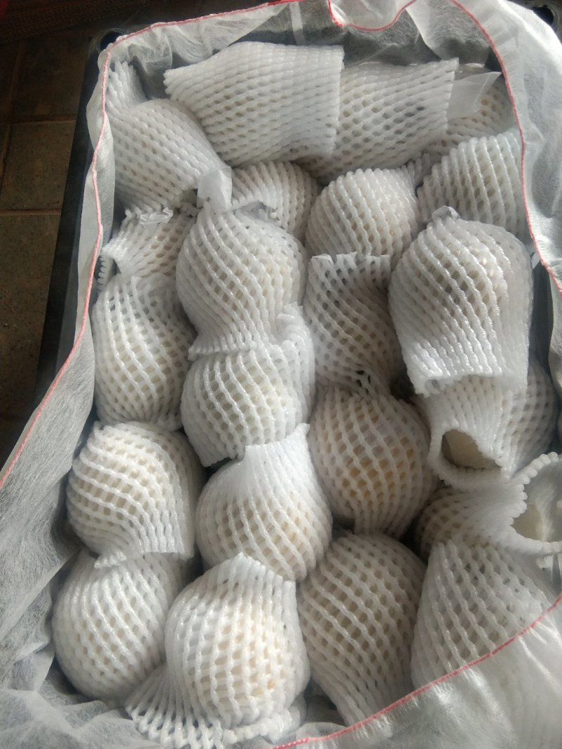 皇冠梨大量上市，需要的客户联系，大量有货