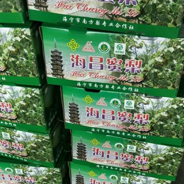 海宁特产翠冠梨