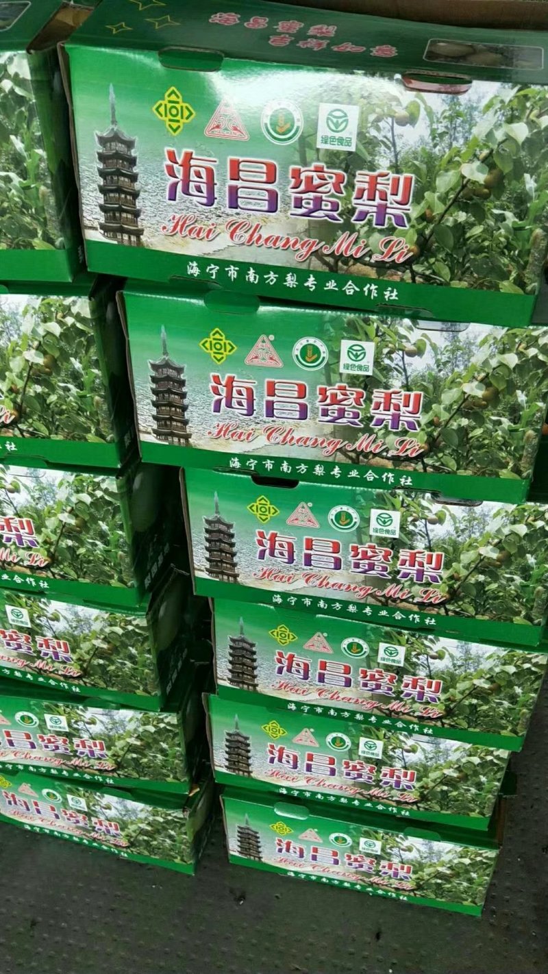 海宁特产翠冠梨