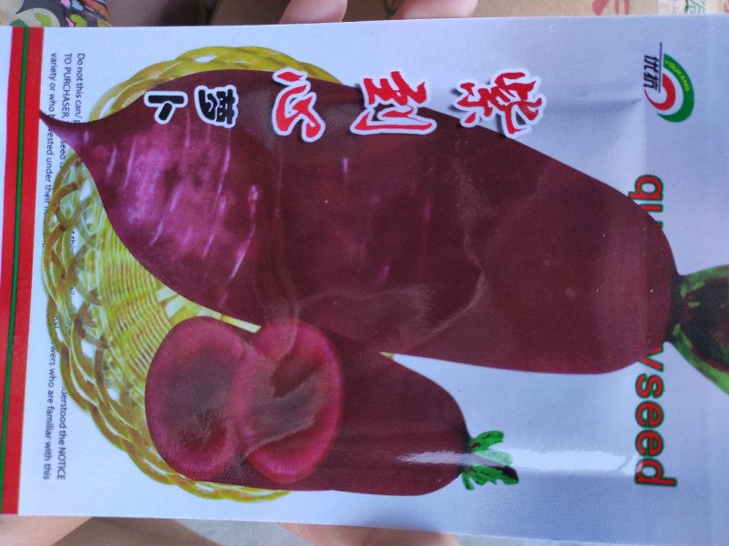 萝卜种子紫到心萝卜紫皮紫肉萝卜种子紫到心萝卜种子