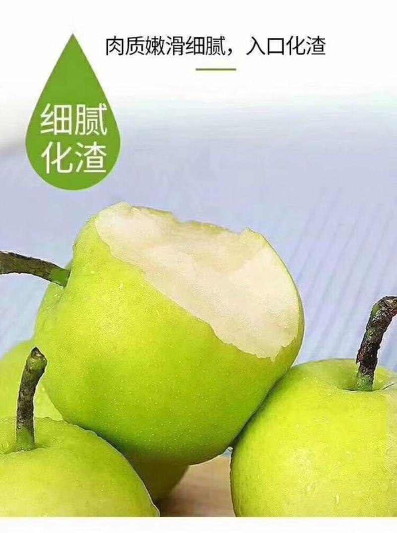 【荐】砀山精品翠玉(翠冠)梨(300克以上)