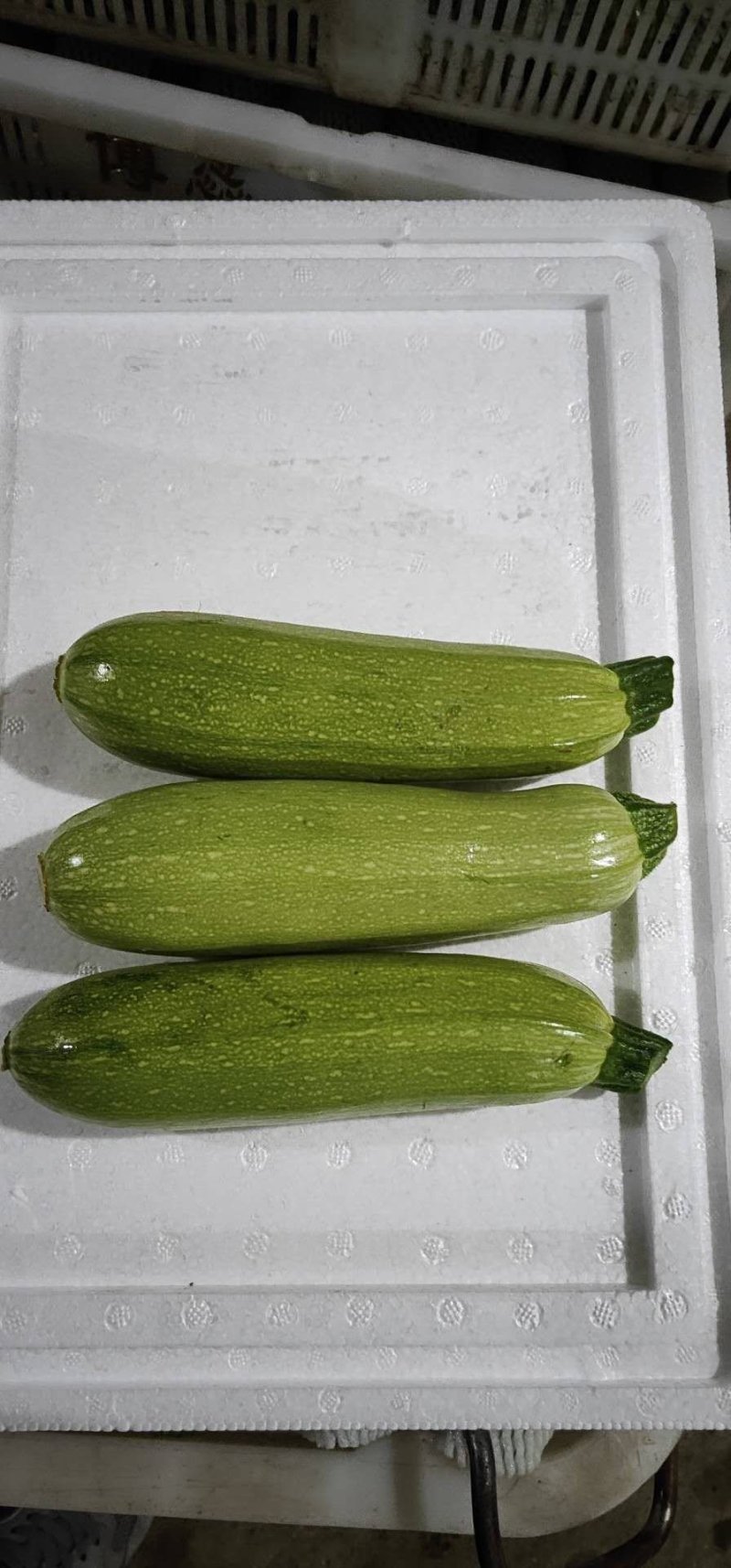 精品西葫芦大量上市