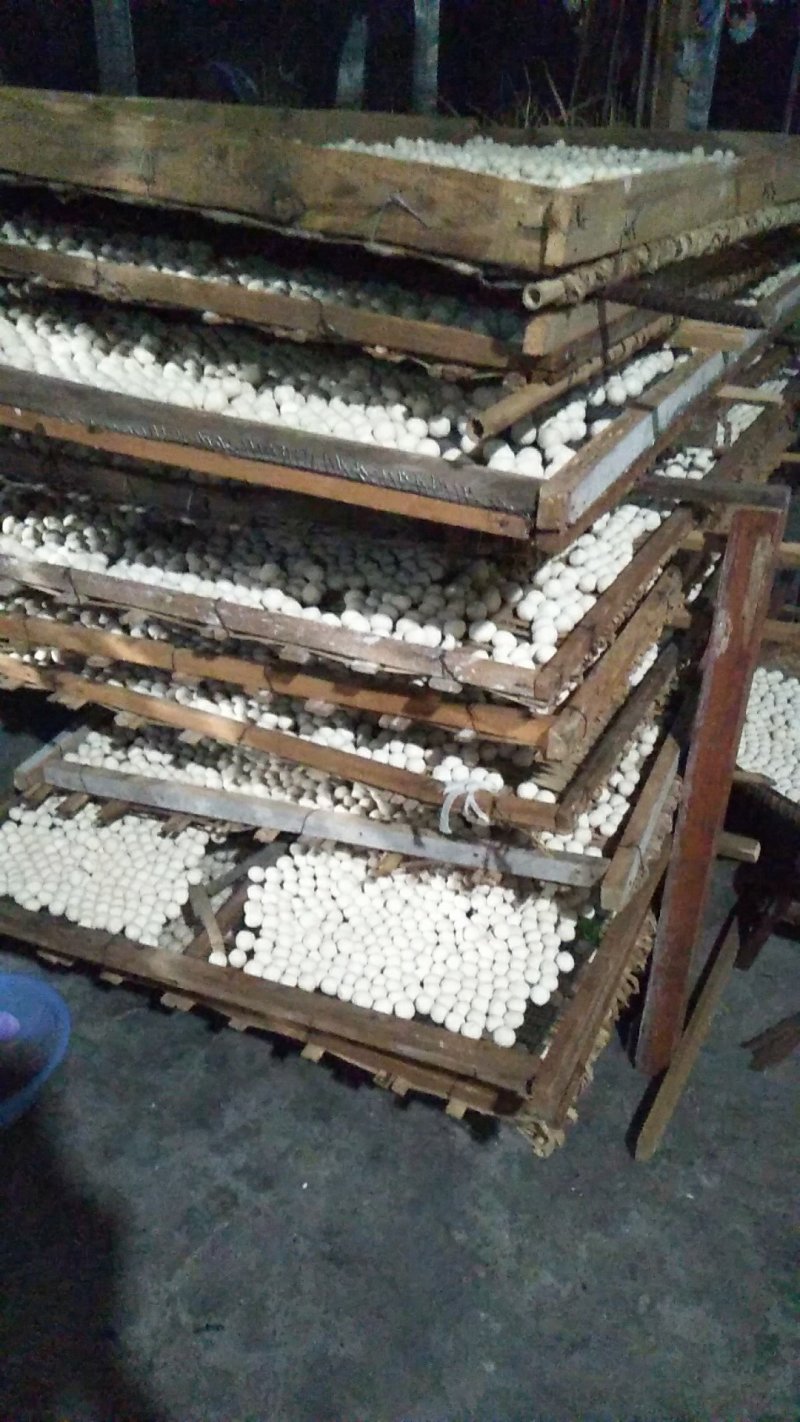 纯手工制作的酒曲子，可以用来做甜酒，酿黄酒