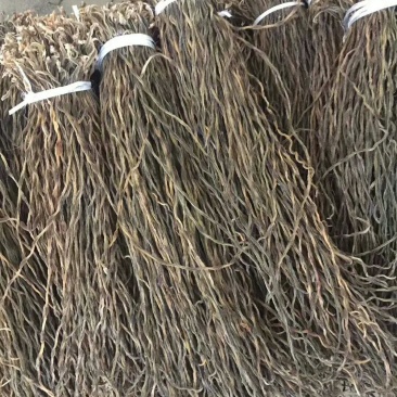 陕西豆角山东豆角新疆豆角湖南豆角一件50斤