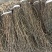 陕西豆角山东豆角新疆豆角湖南豆角一件50斤