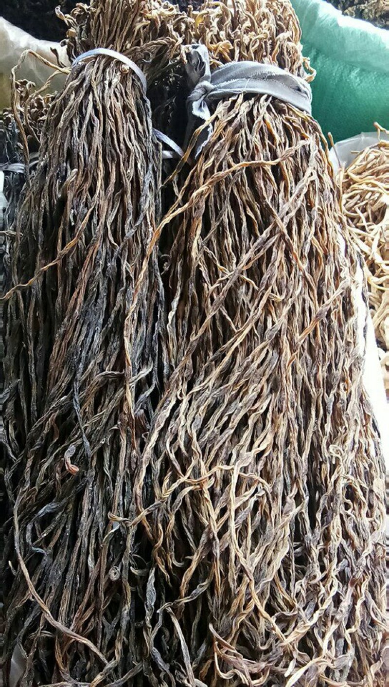 陕西豆角山东豆角新疆豆角湖南豆角一件50斤