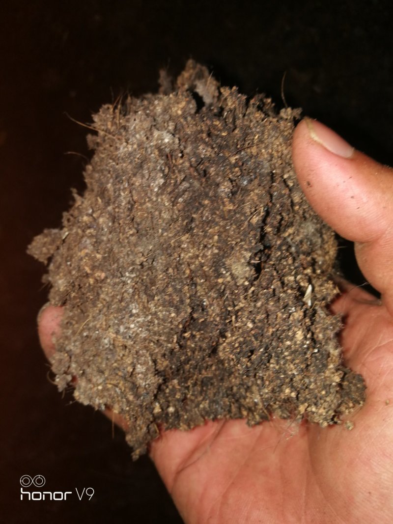 发酵干猪粪需要的联系，适用各种瓜果蔬菜质量保证，