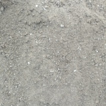 发酵干猪粪需要的联系，适用各种瓜果蔬菜质量保证，