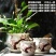 陶瓷花盆批发大号盆栽多肉花盆大号带托盘个性复古简约创意粗