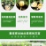 香妃含笑红花庭院植物耐寒花卉四季开花带叶带花