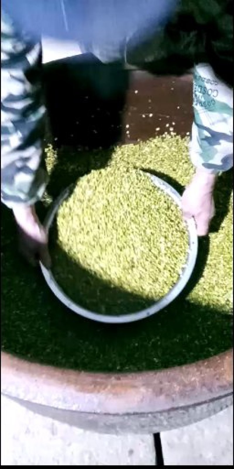 纯绿豆淀粉，传统酸浆提取淀粉，保留了绿豆淀粉的特性