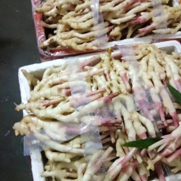 生姜子姜产地直销分货仓内江成都重庆。