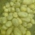 大量土豆以上市，欢迎釆购商来釆购