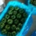 应县各种蔬菜