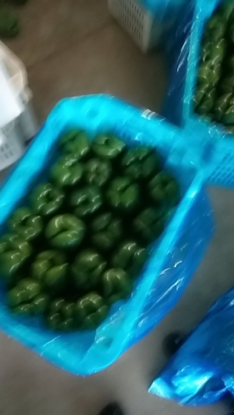 应县各种蔬菜