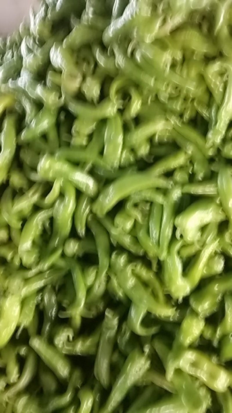 应县各种蔬菜