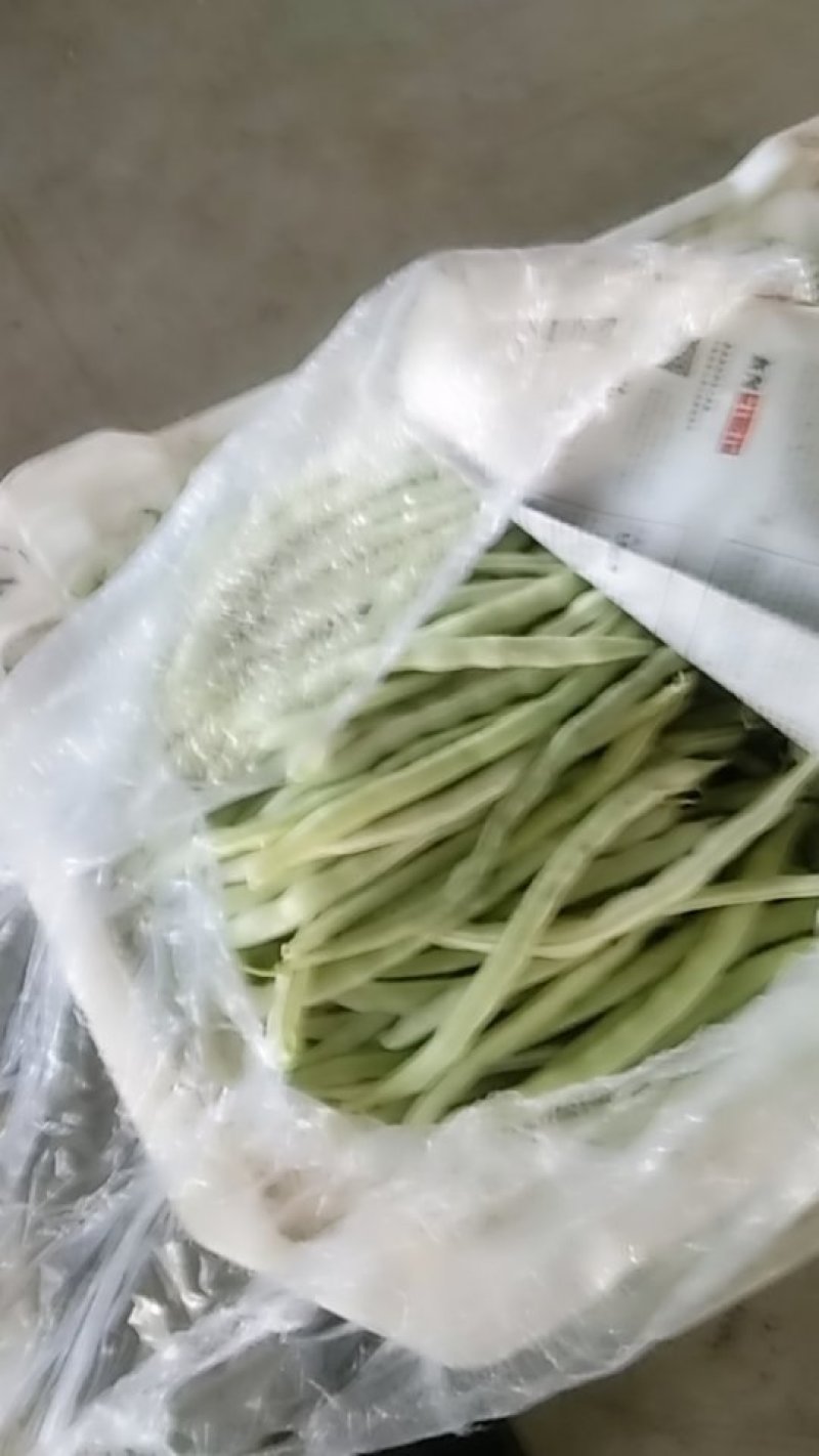 应县各种蔬菜