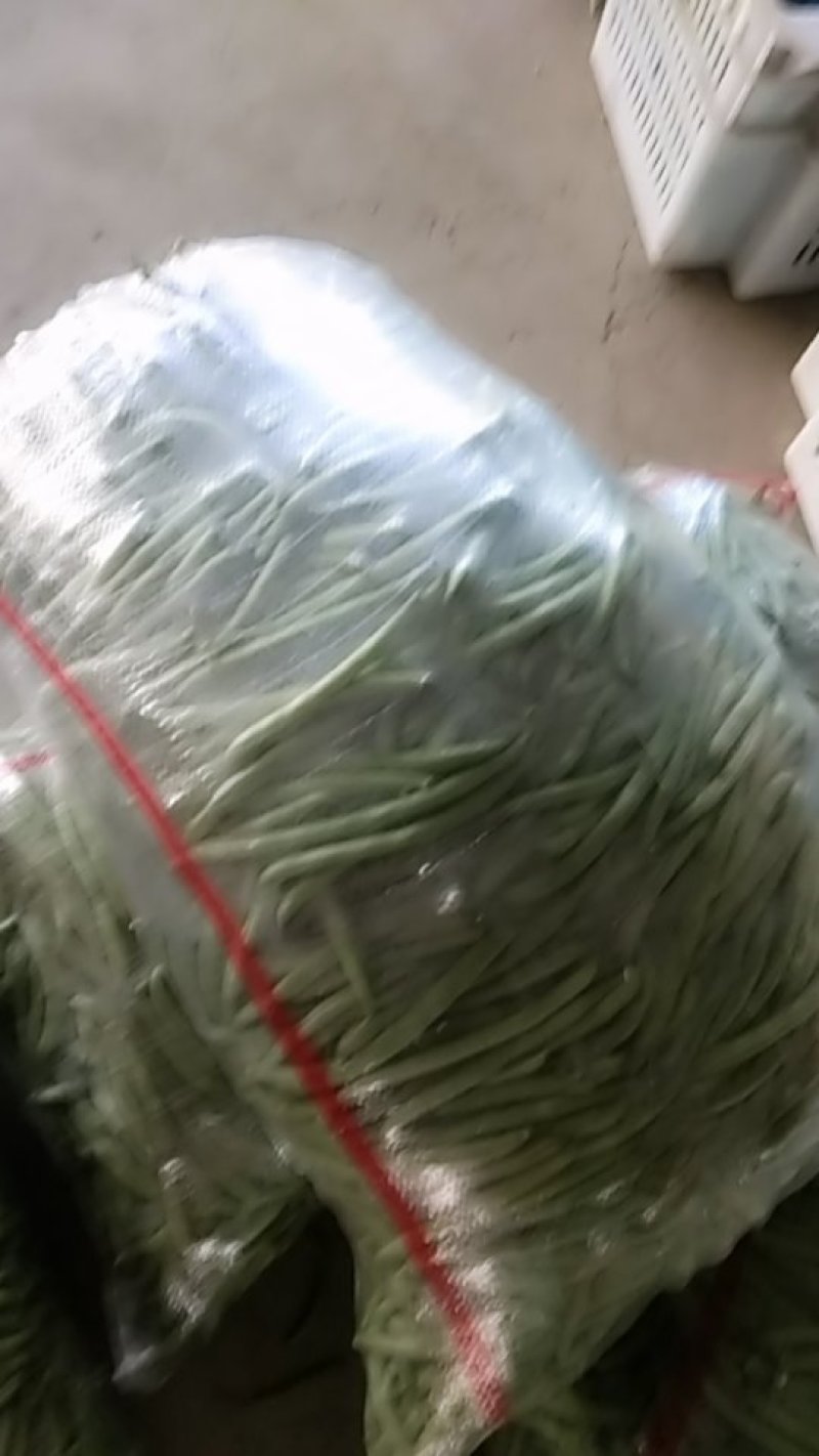 应县各种蔬菜